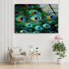 Peacock Feathers Tempered Glass Wall Art - MyPhotoStation