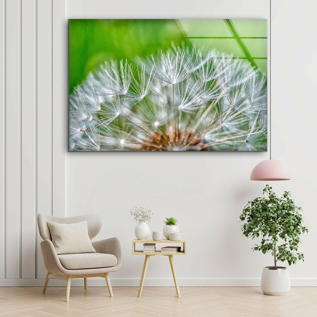 White Dandelion Seed Glass Wall Art, glass image printing, glass prints from photos