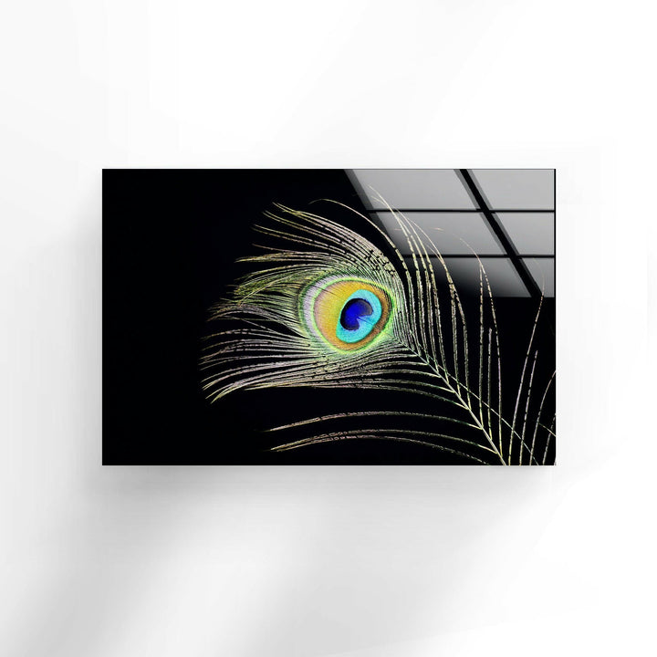 Peacock Feather Tempered Glass Wall Art - MyPhotoStation