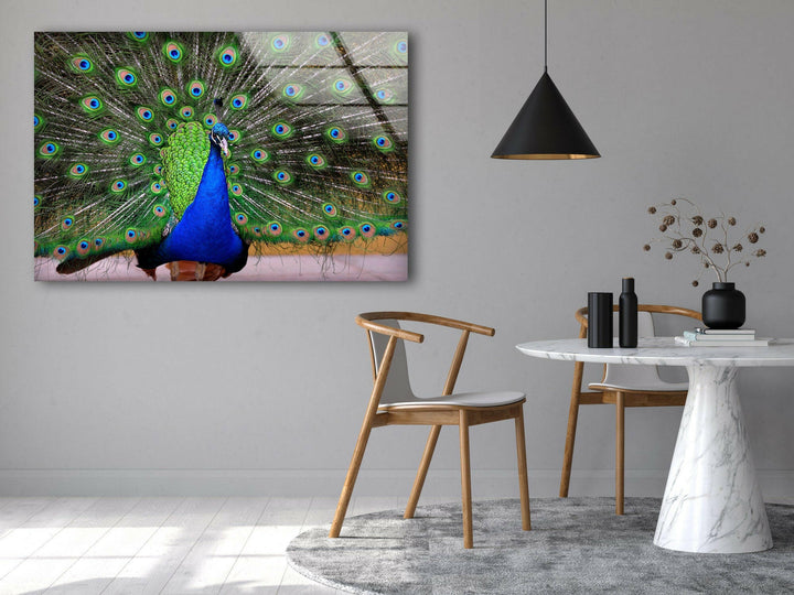 Peacock Feather Art Glass Wall Art custom glass pictures, glass art prints