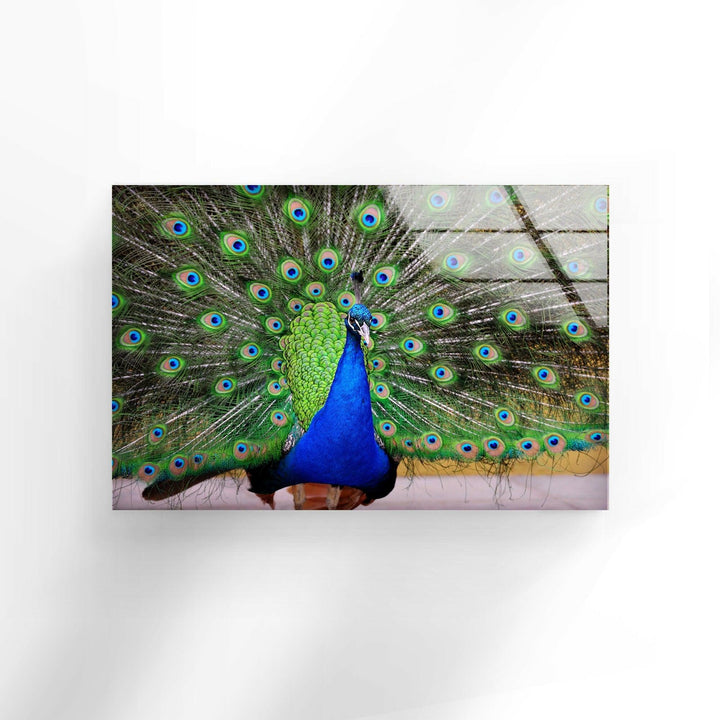 Peacock Feather Art Glass Wall Art glass pictures for Wall, glass prints wall art