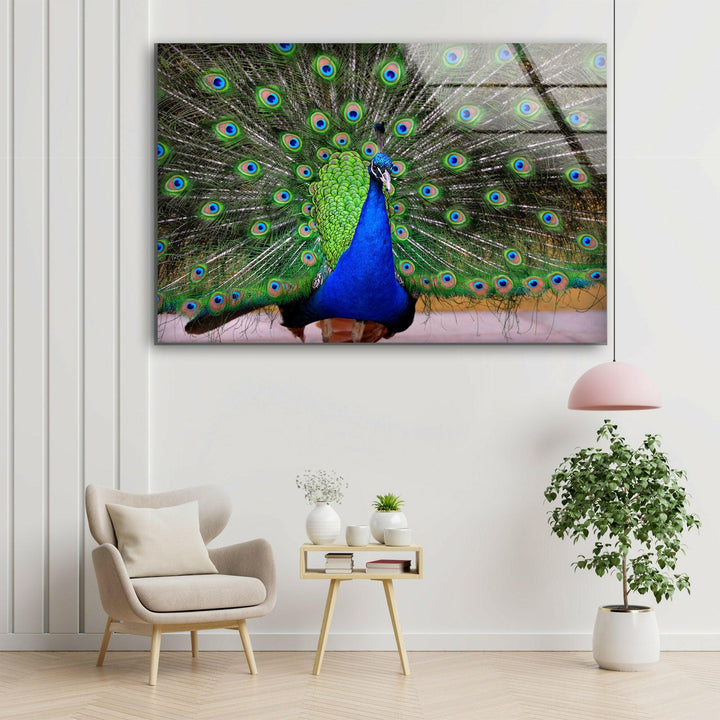 Peacock Feather Art Glass Wall Art art glass wall art, glass wall art pictures