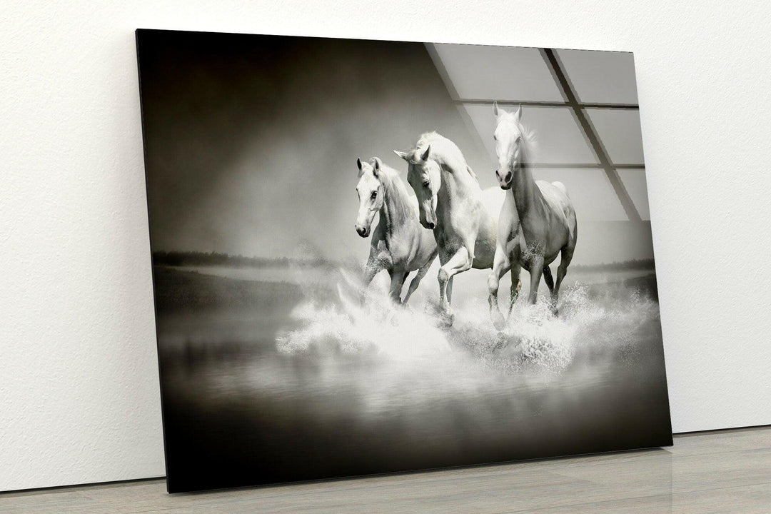 Riding White Horses Glass Wall Art glass photo prints, glass picture prints