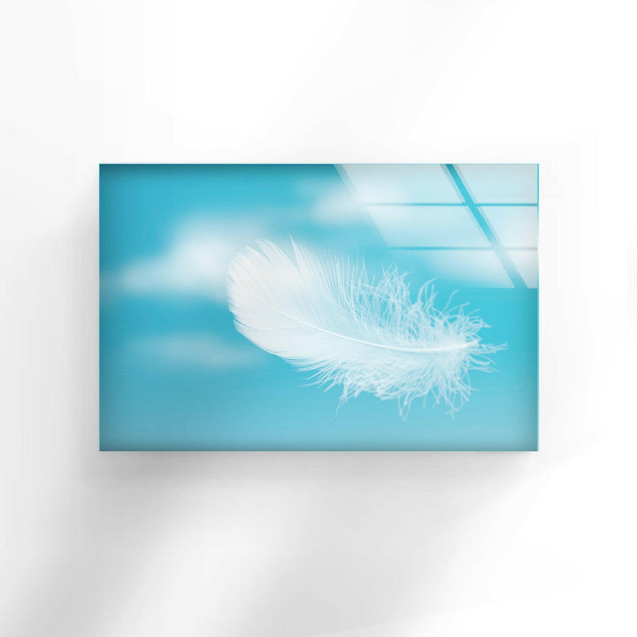 White Feather Modern Glass Wall Art & Cool Prints