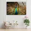 Peacock Feather Tempered Glass Wall Art - MyPhotoStation