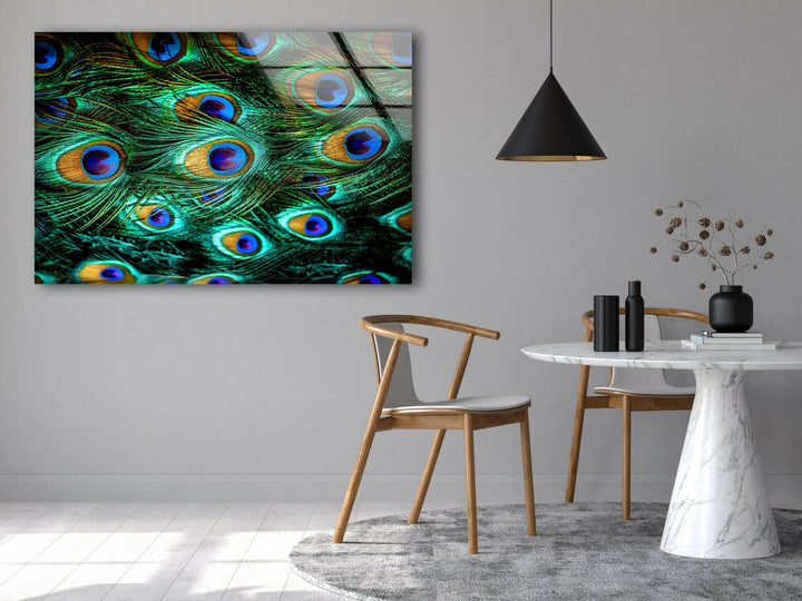 Peacock Feathers Tempered Glass Wall Art - MyPhotoStation