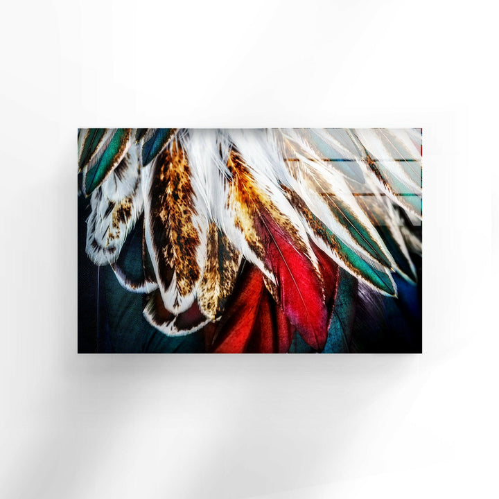 Colored Feathers Glass Wall Art Glass Printing Wall Art, Print photos on glass