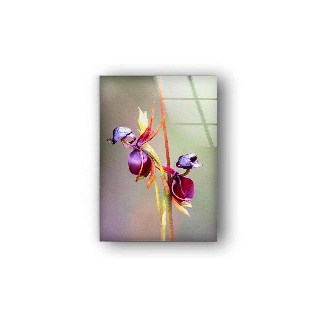 Flying Duck Orchid Glass Wall Art, glass image printing, glass prints from photos