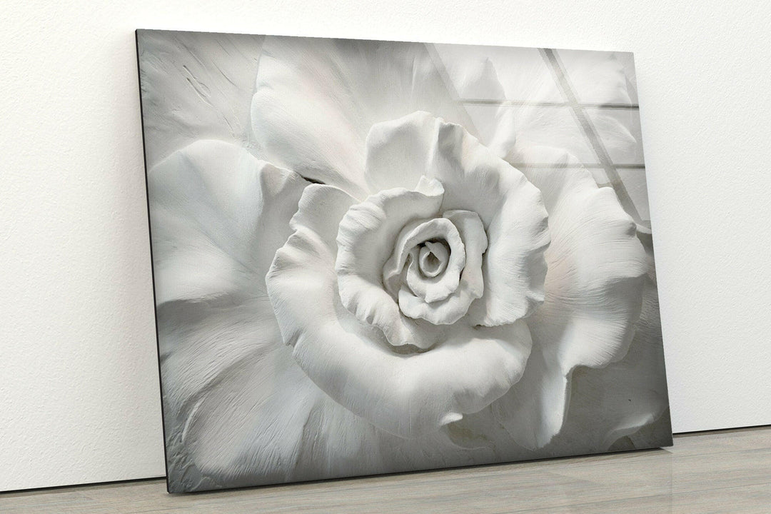 Close Up White Rose Glass Wall Art, glass photo prints, glass picture prints