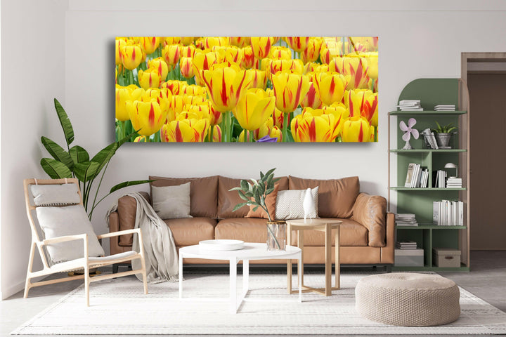 Yellow & Red Tulips Glass Wall Art, glass art painting, glass art for the Wall