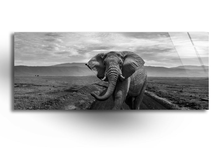 Black&White Wild Elephant Glass Wall Art, art glass wall art, glass wall art pictures