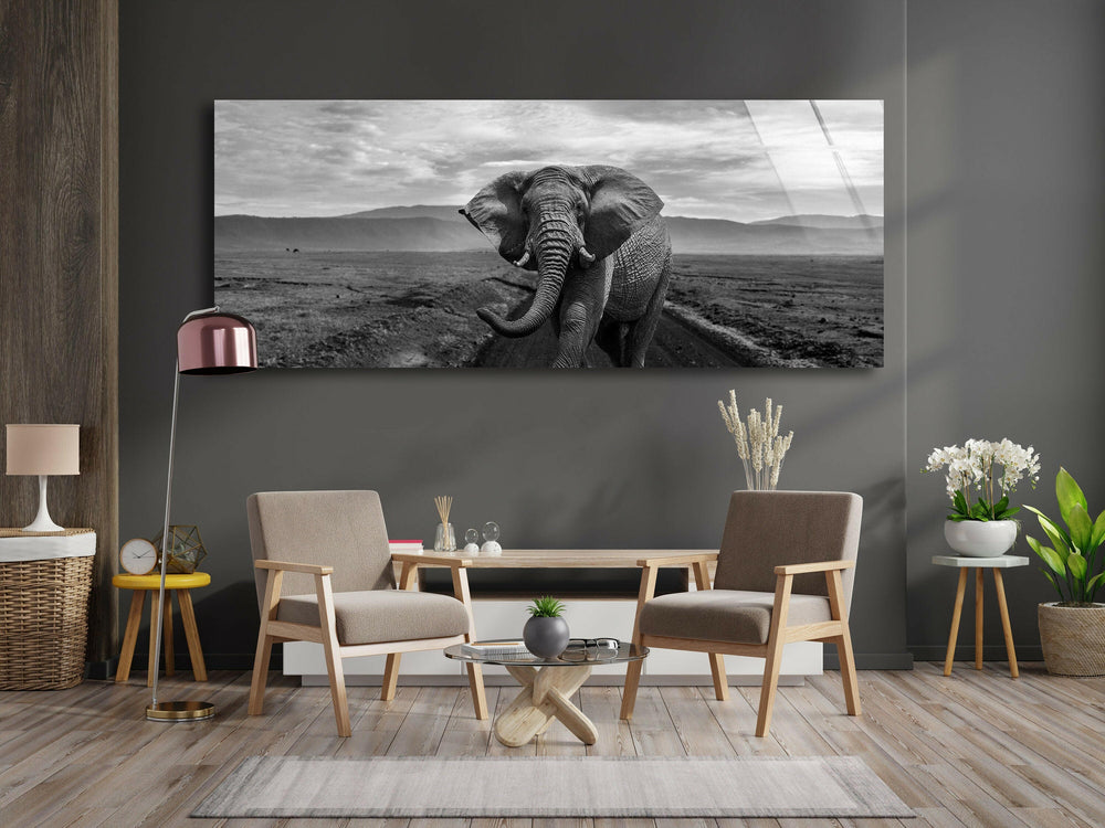 Black&White Wild Elephant Glass Wall Art, print on glass, glass printed photos