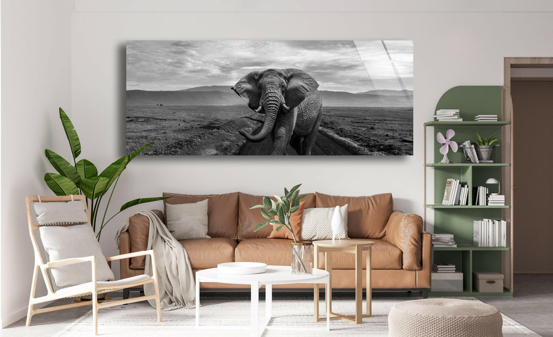 Black&White Wild Elephant Glass Wall Art, print picture on glass, Tempered Glass Wall Art