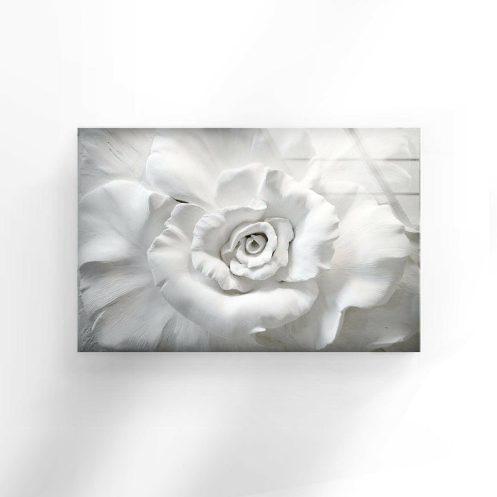 Close Up White Rose Glass Wall Art, glass image printing, glass prints from photos