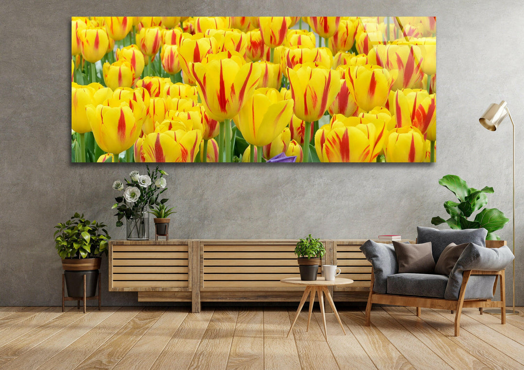 Yellow & Red Tulips Glass Wall Art, print picture on glass, Tempered Glass Wall Art