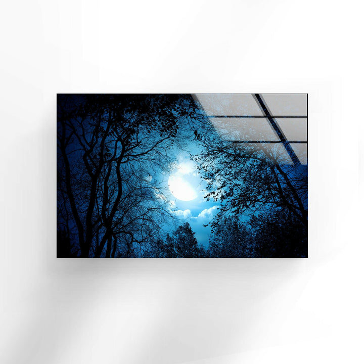 Mysterious Night Forest Glass Wall Art glass image printing, glass prints from photos