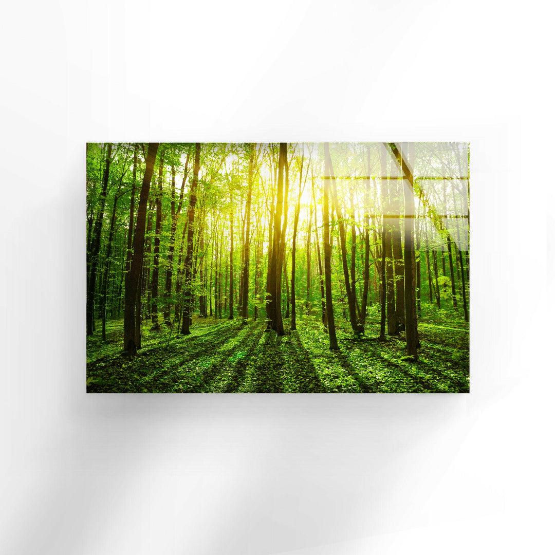 Forest Landscape Tempered Glass Wall Art - MyPhotoStation