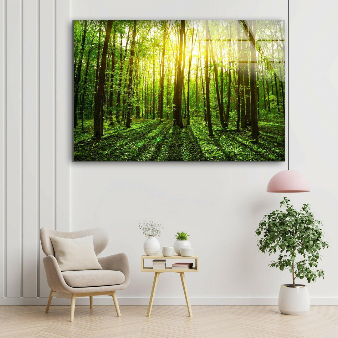 Forest Landscape Tempered Glass Wall Art - MyPhotoStation