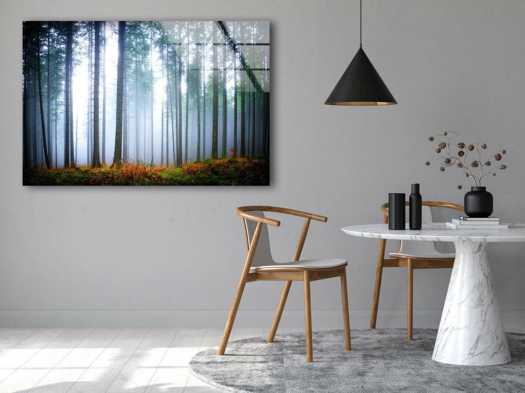 Foggy Forest Glass Wall Art