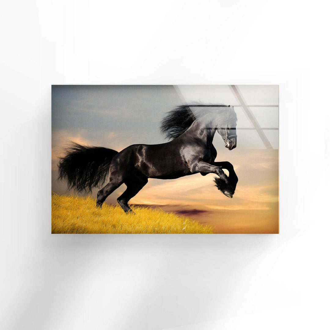 Big Black Horse Glass Wall Art large glass photo prints, glass wall photos