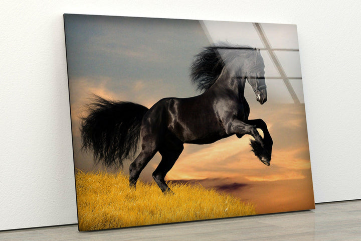 Big Black Horse Glass Wall Art glass pictures for Wall, glass prints wall art