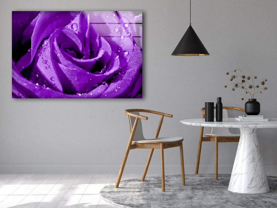 Closeup Of Purple Rose Glass Wall Art, glass photo prints, glass picture prints