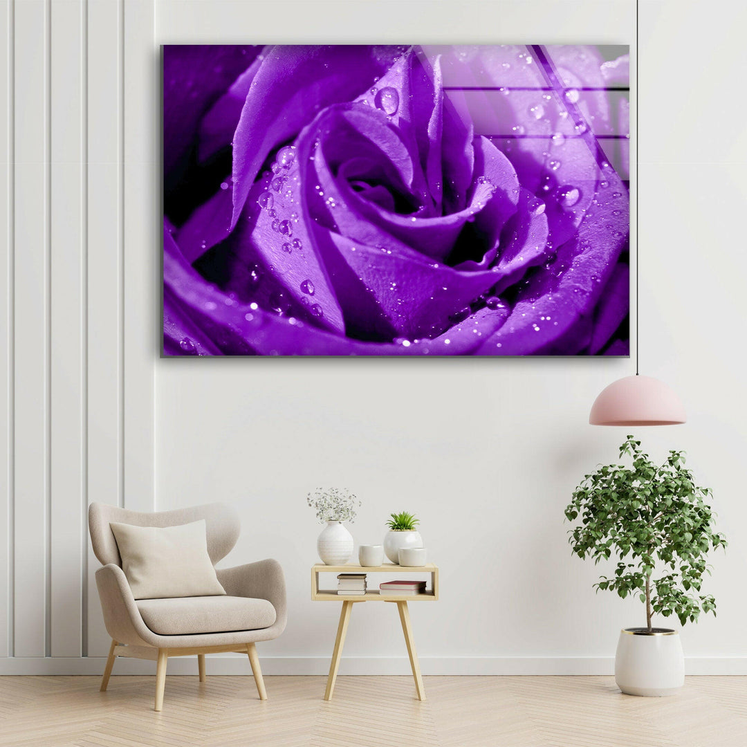 Closeup Of Purple Rose Glass Wall Art, glass image printing, glass prints from photos