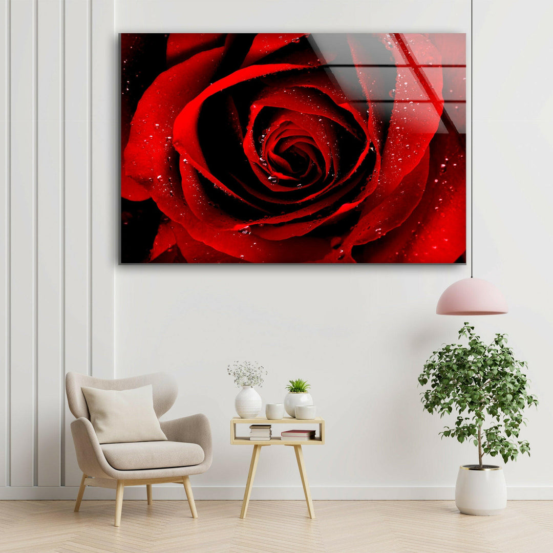 Red Rose Glass Wall Art, picture on glass wall art, photos printed on glass