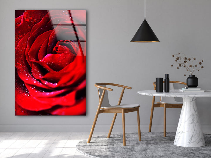 Red Rose With Water Drops Glass Wall Art, glass photo prints, glass picture prints