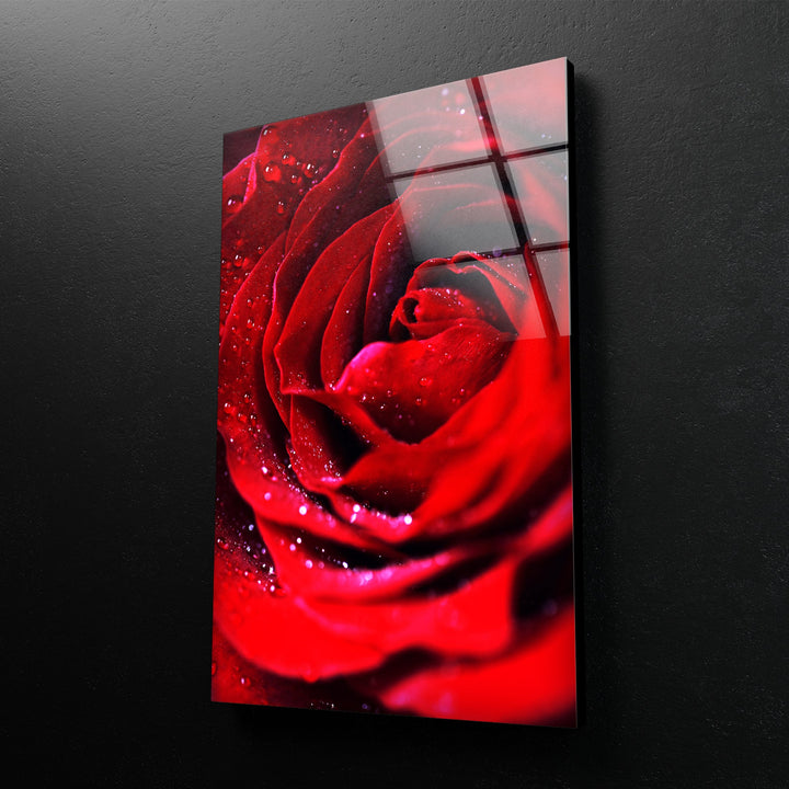 Red Rose With Water Drops Glass Wall Art, Glass Printing Wall Art, Print photos on glass