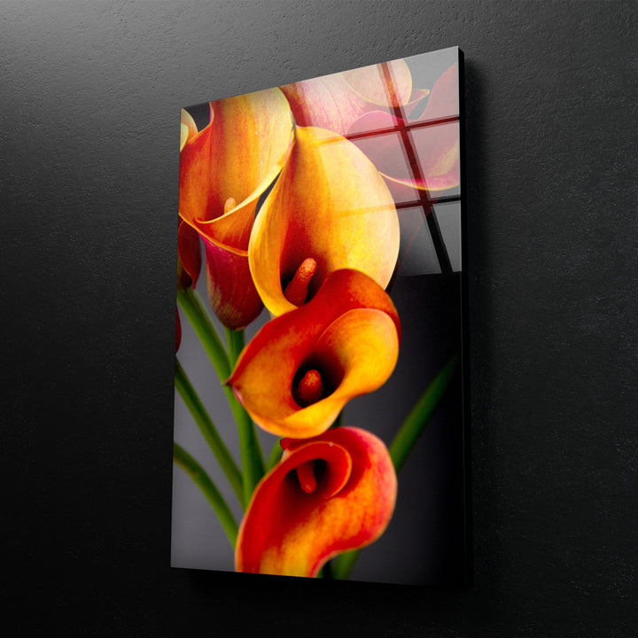 Orange Calla Lilies Glass Wall Art, Glass Printing Wall Art, Print photos on glass