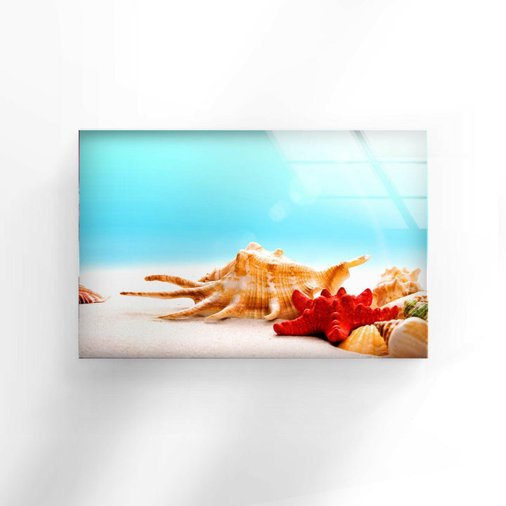 Seashells & Starfish Glass Wall Art custom glass photo prints, large glass prints