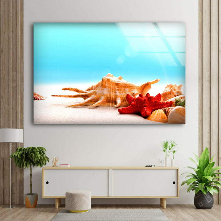 Seashells & Starfish Glass Wall Art glass photo prints, glass picture prints