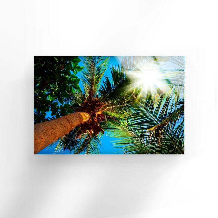 Palm Trees On A Sunny Glass Wall Art print picture on glass, Tempered Glass Wall Art