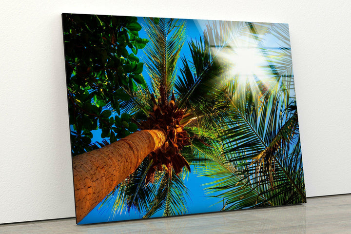 Palm Trees On A Sunny Glass Wall Art large glass photo prints, glass wall photos