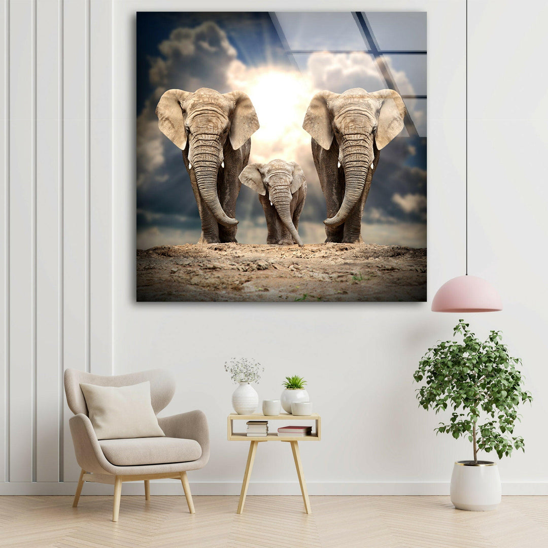 Safari Elephant Family Glass Wall Art Glass Printing Wall Art, Print photos on glass