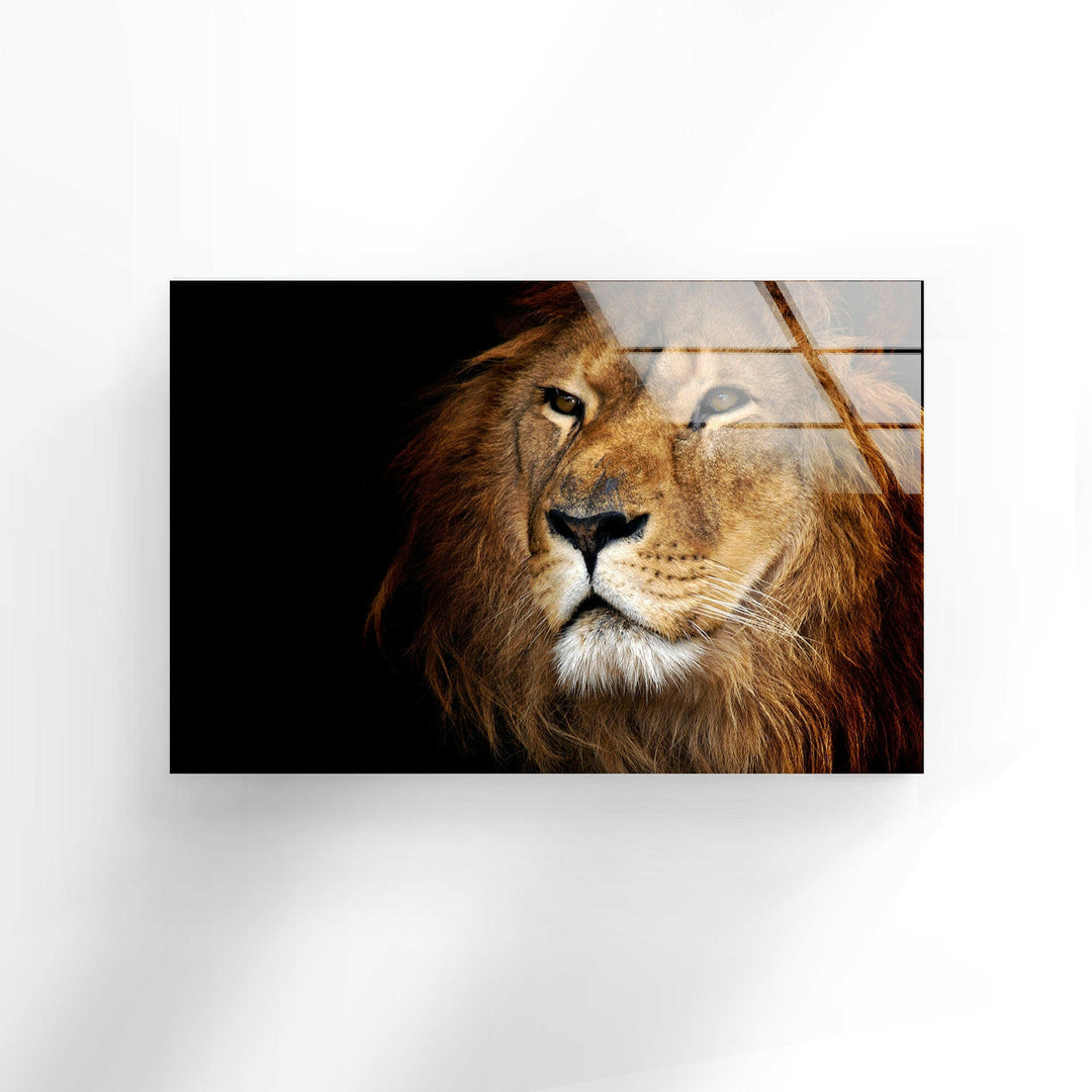 Asiatic Lion Glass Wall Art glass image printing, glass prints from photos