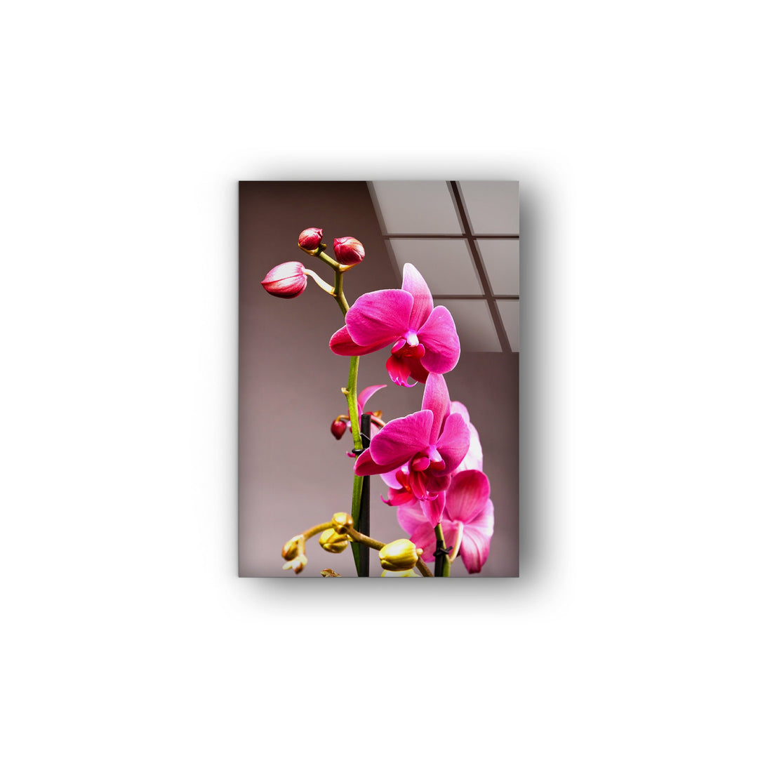 Pink Orchid Glass Wall Art, glass photo prints, glass picture prints