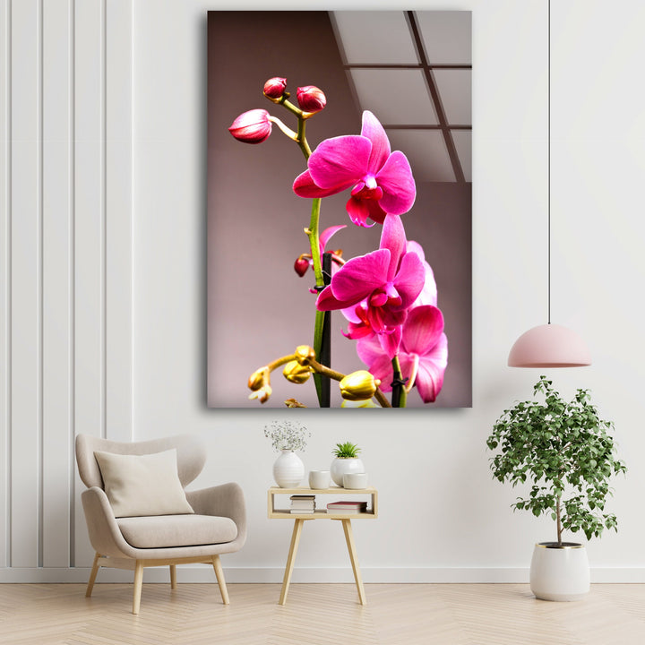 Pink Orchid Glass Wall Art, picture on glass wall art, photos printed on glass