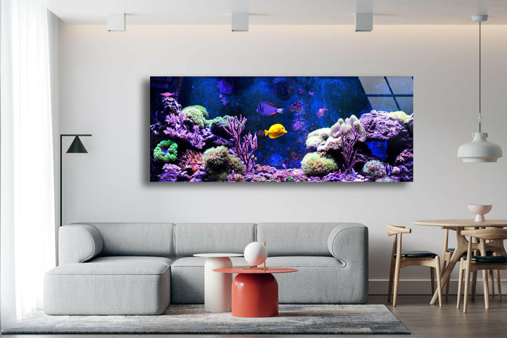 Marine, Blue Aquarium Glass Wall Art, picture on glass wall art, photos printed on glass