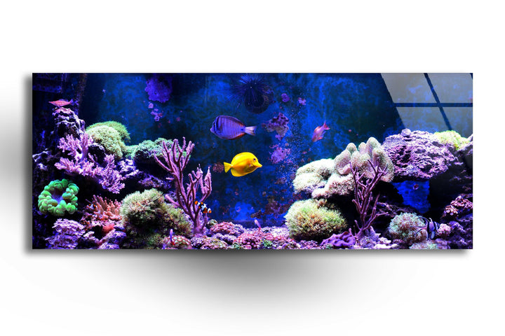 Marine, Blue Aquarium Glass Wall Art, print picture on glass, Tempered Glass Wall Art