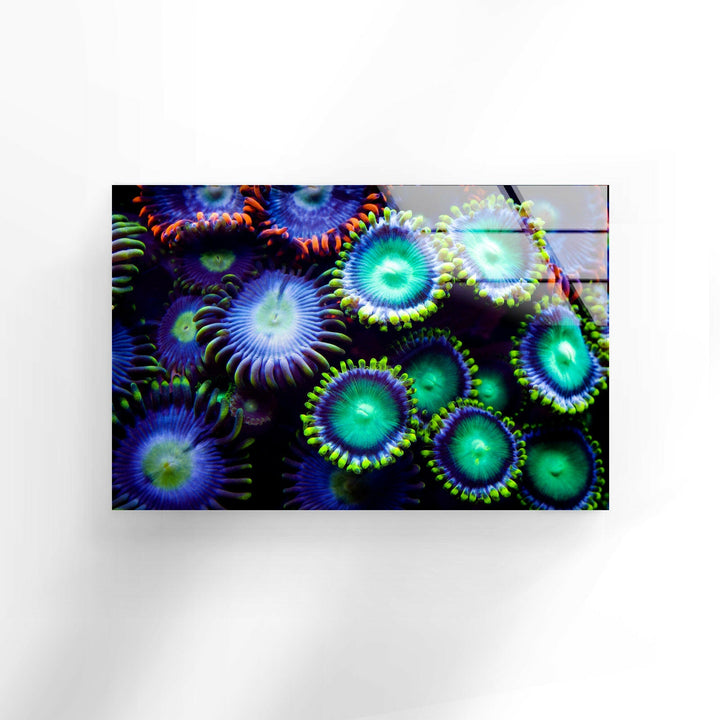 Neon Coral Glass Wall Art Glass Printing Wall Art, Print photos on glass