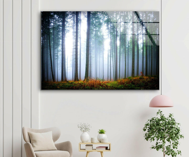 Foggy Forest Glass Wall Art