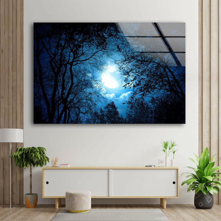 Mysterious Night Forest Glass Wall Art glass photo prints, glass picture prints