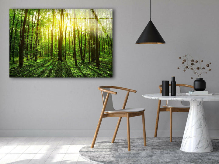 Forest Landscape Tempered Glass Wall Art - MyPhotoStation