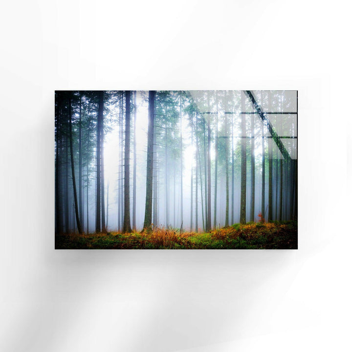 Foggy Forest Glass Wall Art