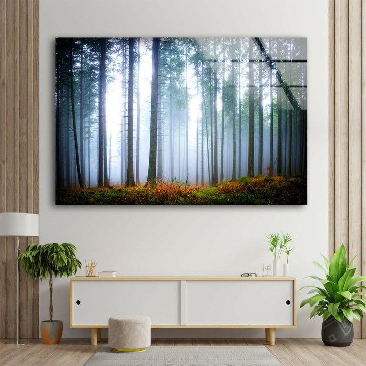 Foggy Forest Glass Wall Art