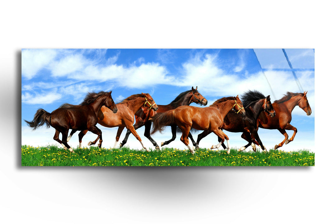 Galloping Horses Glass Wall Art, glass pictures for Wall, glass prints wall art