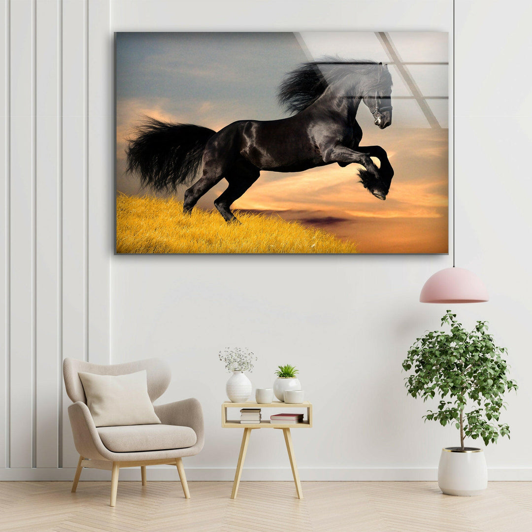 Big Black Horse Glass Wall Art picture on glass wall art, photos printed on glass