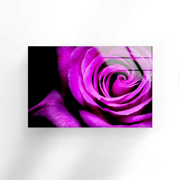 Big Purple Rose Glass Wall Art, glass pictures for Wall, glass prints wall art
